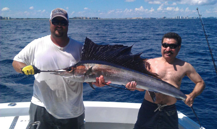 Boca Raton Sailfishing