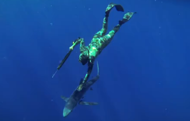 spear-fishing-video