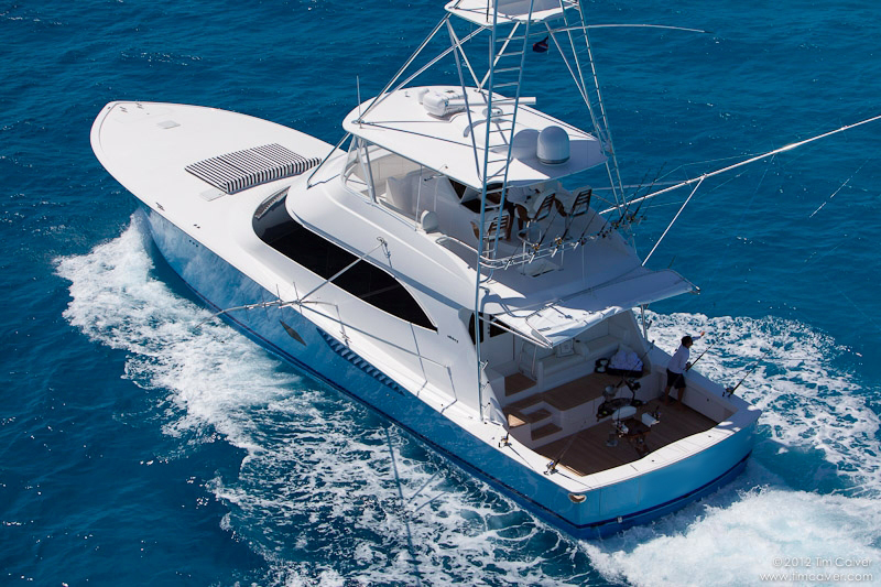 Luxury Sportfishing Charters Fishing