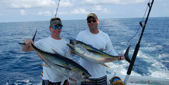 deerfield beach captains love yellowfin tuna fishing