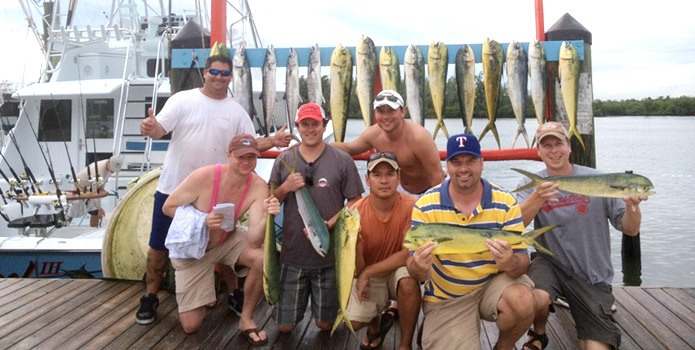 hollywood dolphin fishing charter