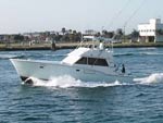 fort lauderdale sportfish LK