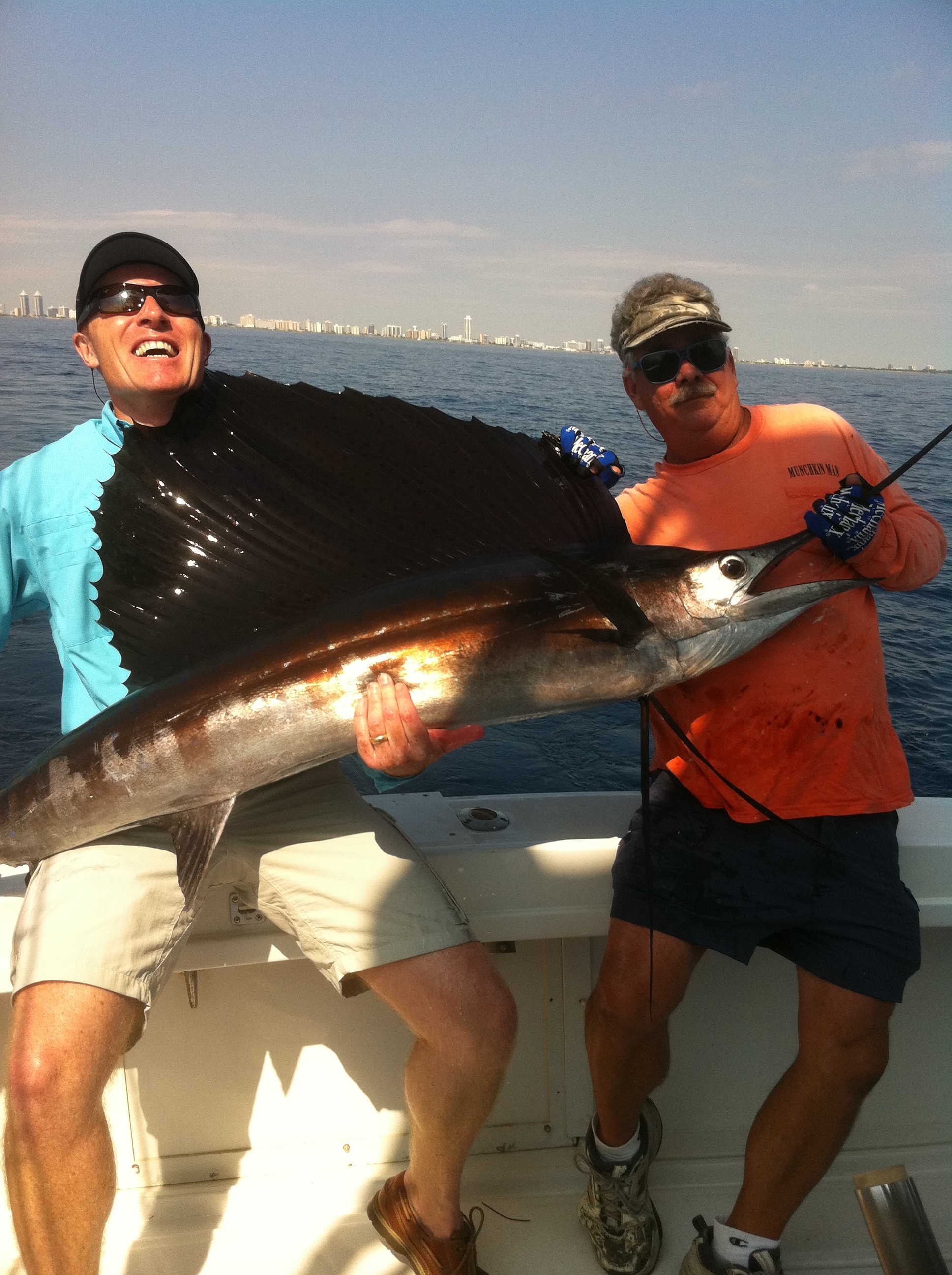 sailfish